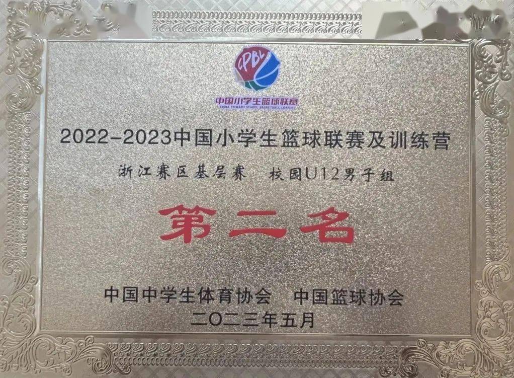 翔东小学篮球比赛冠军是谁_东秀小学篮球比赛_育翔小学篮球