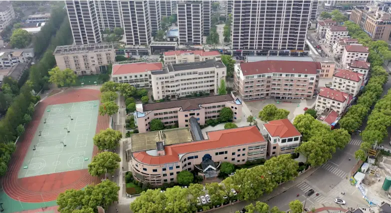 育翔小学篮球_东秀小学篮球比赛_翔东小学篮球比赛冠军是谁