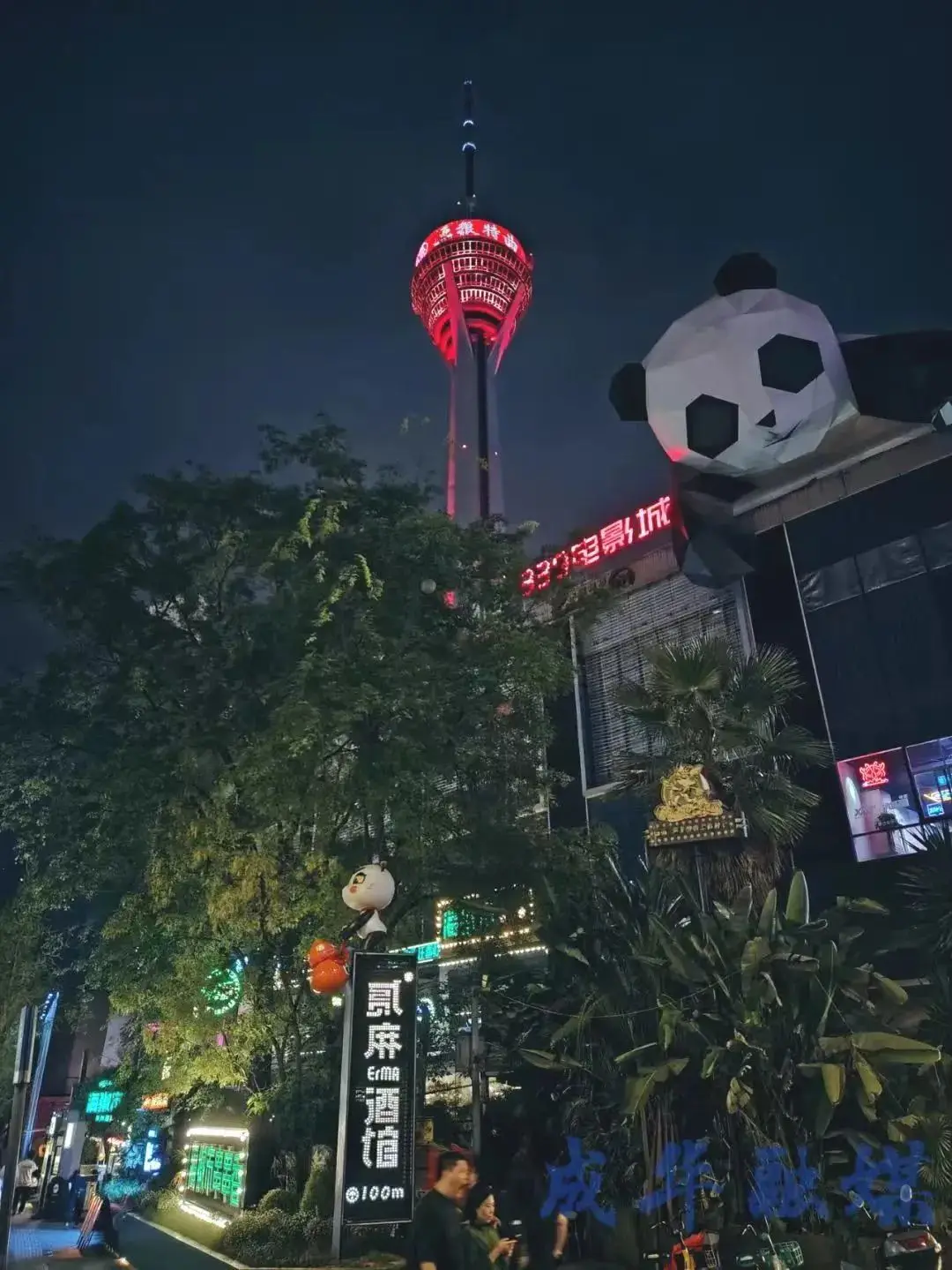 成都桥下篮球场_成都杉板桥篮球场规则_板桥篮球场