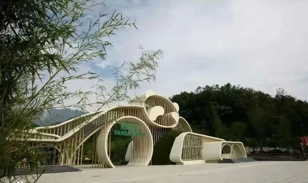成都杉板桥篮球场规则_成都桥下篮球场_板桥篮球场