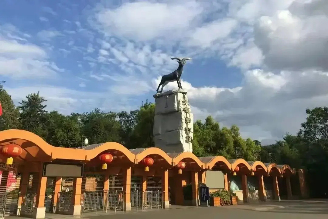 板桥篮球场_成都桥下篮球场_成都杉板桥篮球场规则