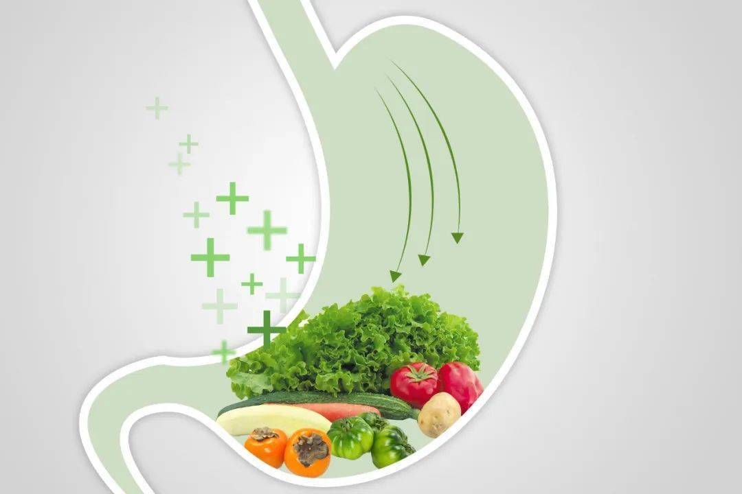 健身运动营养餐_健身饮食营养比例_健身营养餐比例