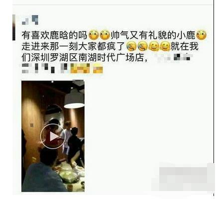 鹿晗健身效果_鹿晗健身房视频_鹿晗健身照