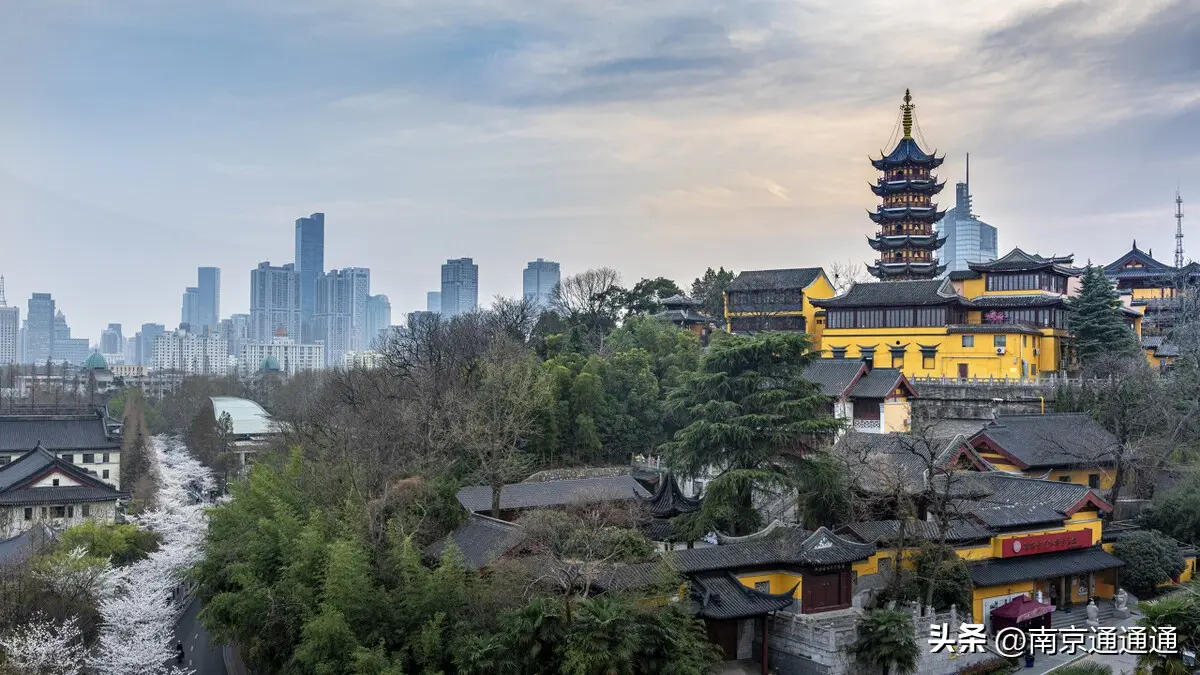 足球球队历史战绩_足球球队历史合集分析_合集足球球队历史分析图